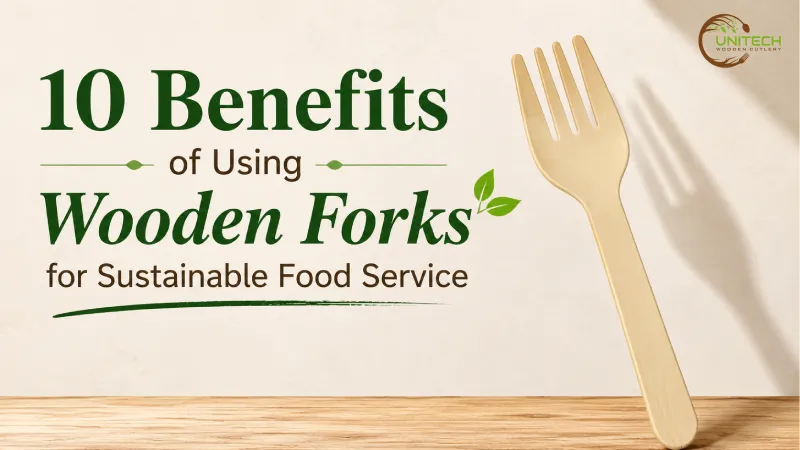 10 Benefits of Using Wooden Forks for Sustainable Food Service