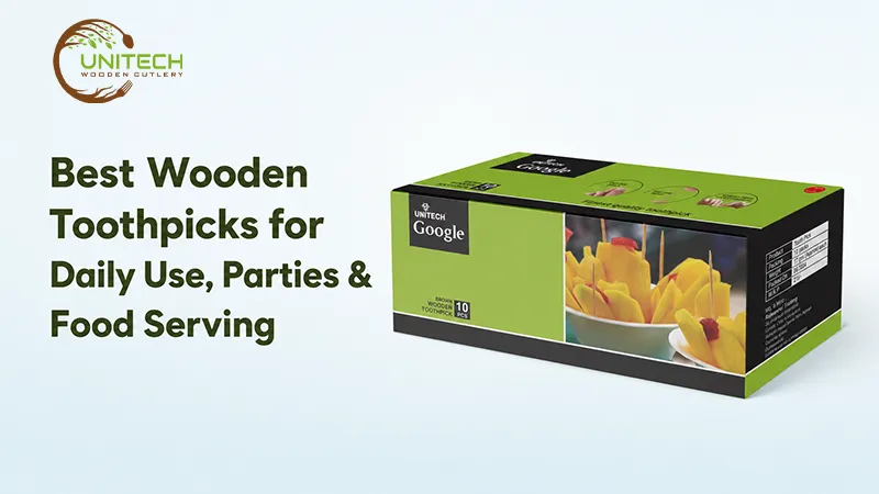 Best Wooden Toothpicks for Daily Use, Parties & Food Serving