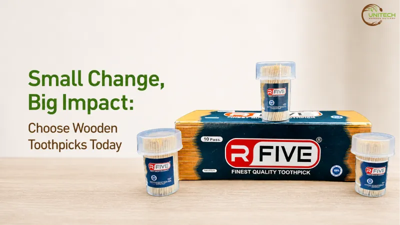 Small Change, Big Impact: Choose Wooden Toothpicks Today